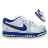 Nike Dunk 7 Icon
